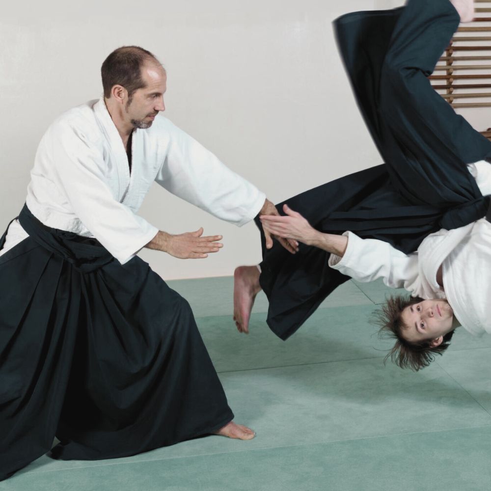 aikido Aikido